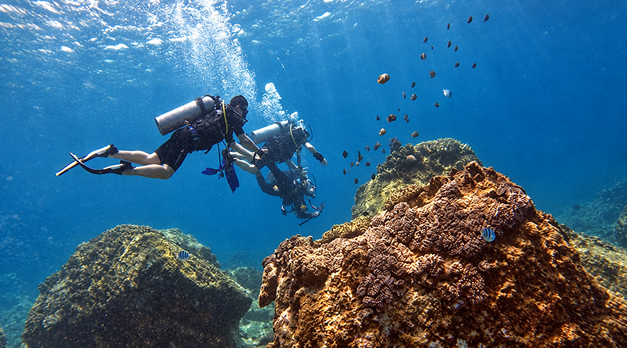 Fun Diving Hon Mun in Nha Trang (Certified Divers)