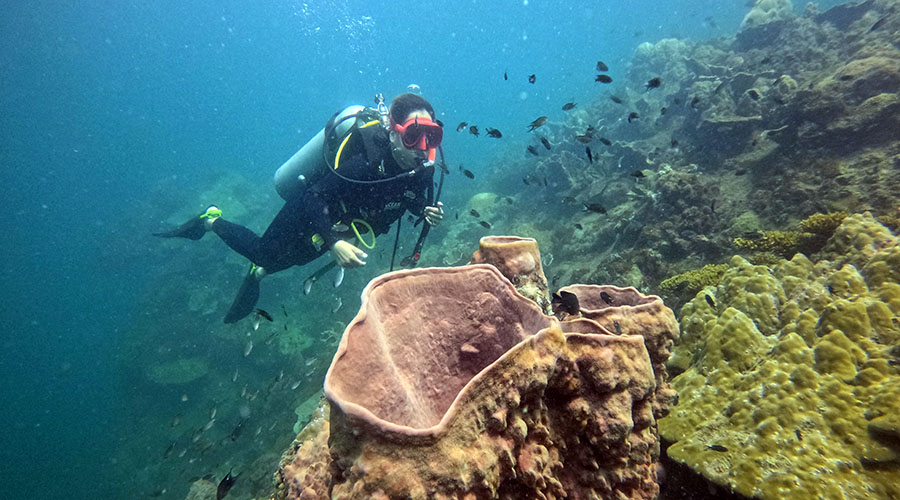 Discover Scuba Diving Phu Quoc (For Beginners)